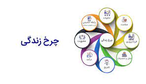 تعادل چرخ زندگی