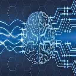 هوش دیجیتال