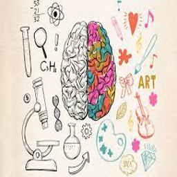 استفاده بهینه از نیمکره چپ و راست